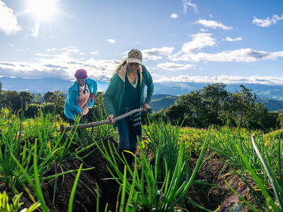 Photo: WFP/Esteban Barrera Two farmers are working in the field