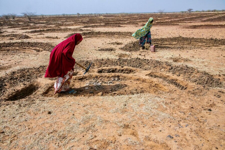 Women in long gowns dig half moons in the sandy soil in Niger. Photo: WFP/Amadou Sani Dan Salaou