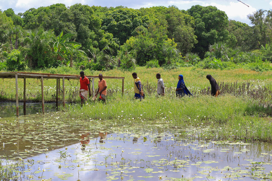 A line of six people including women in Islamic attire walk past a flooded field