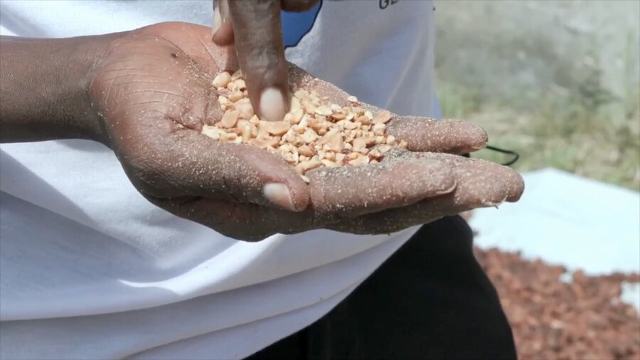 A closeup of a woman's hand holding grains to be processed into cooking oil. Photo: WFP
